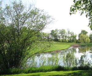 Neighborhood Work Parties